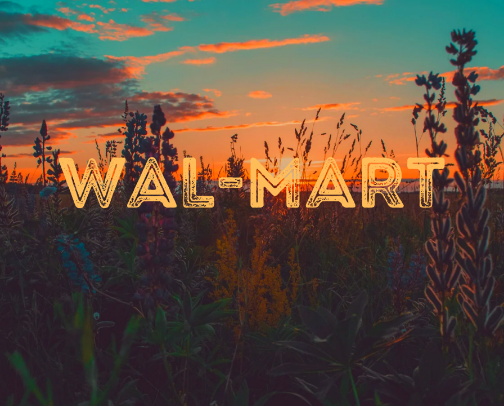 Wal Mart Finds cover photo collage