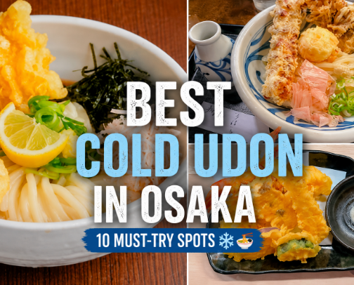 Best Cold Udon in Osaka ❄️🍜 cover photo collage