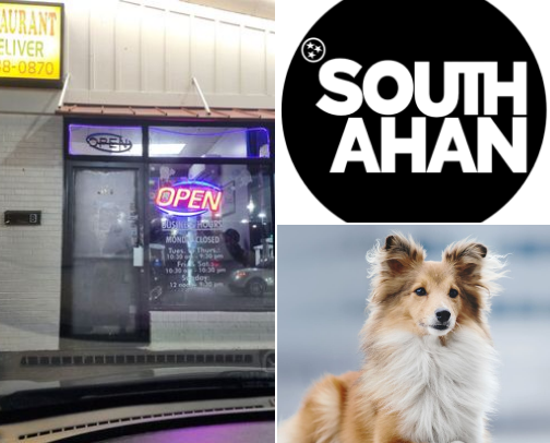 My Top Local Recommendations cover photo collage