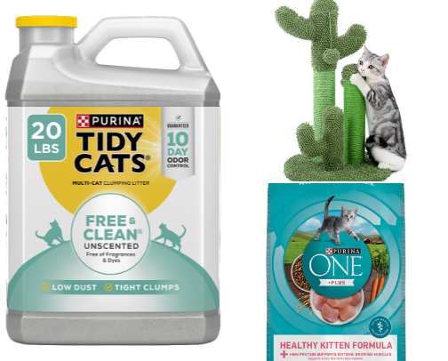 Multi-Cat households!🩵 cover photo collage