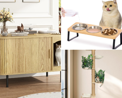Cat finds you need 😻 cover photo collage