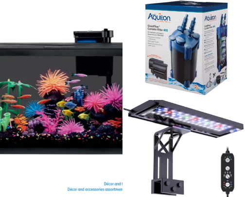 Our Fish tank setup cover photo collage