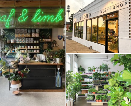 Hidden Gems | My Favorite Cincinnati Plant Nurseries cover photo collage