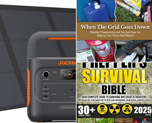 Disaster/ Emergency Preparedness cover photo collage