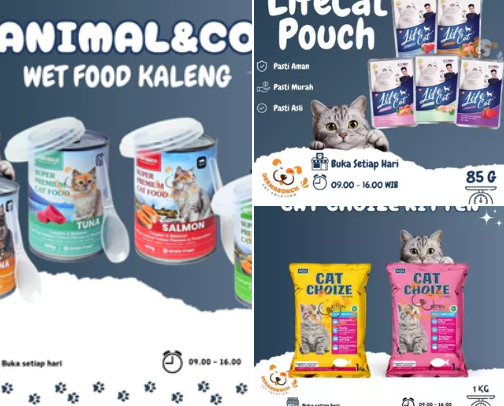 Semua yang Anabul Butuhkan ( Cat Version ) cover photo collage