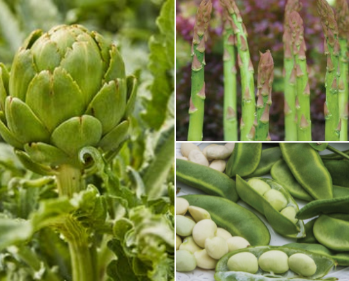 My favorite burpee seeds cover photo collage