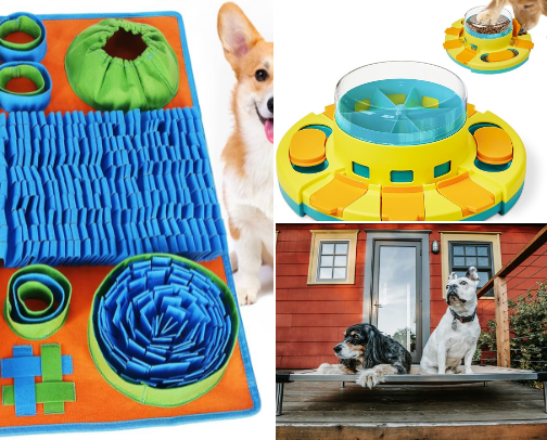 Paws-itively Fabulous Pup Finds cover photo collage