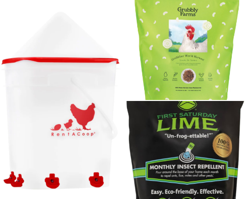 Chicken Coop cover photo collage