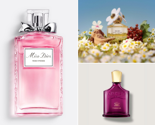 Perfumes that will make people obsessed with you cover photo collage