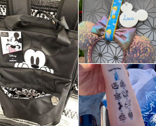 Doing Disney With Littles cover photo collage