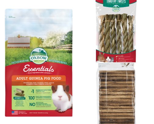 Your guinea pigs will be POPCORNING with excitemnet for these products cover photo collage