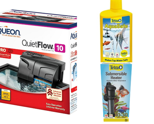 Pet Fish Recommendations cover photo collage