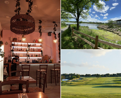 My top New York recs cover photo collage