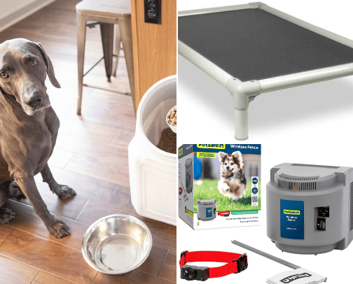 🐾 Best-life Pup Products 🐾 cover photo collage