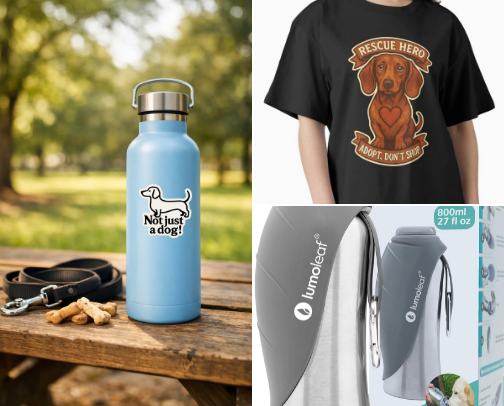 Dackel-Sommerguide: Coole Essentials & Must-haves für Teckel-Fans cover photo collage