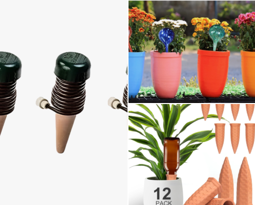 Self Watering Spikes and Tricks That Keep My Plants Alive While I Travel cover photo collage