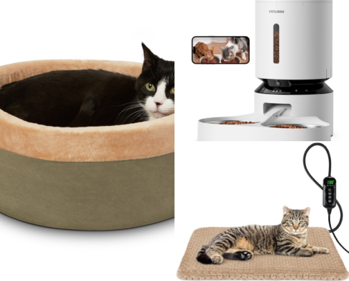 Cat Beds My Picky Cat Actually Sleeps In Instead Of My Laptop cover photo collage