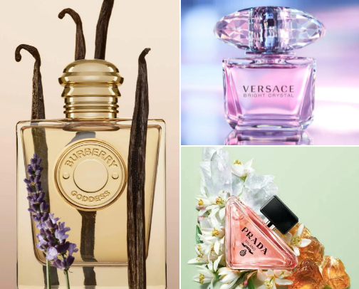 Perfumes that SCREAM confident and beautifull🌺✨️ cover photo collage