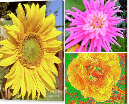 Botanical Canvas Prints cover photo collage