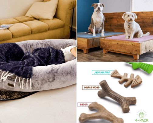 My Favorite Pet Stuff cover photo collage