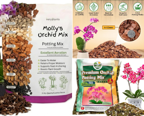 How to grow orchids without going crazy! cover photo collage