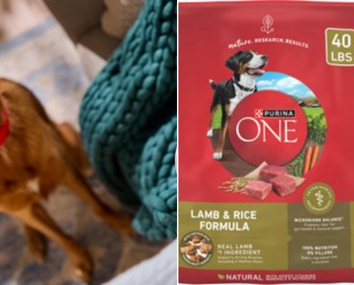 PET FOOD AND SUPPLIES FOR YOUR FAMILY PETS cover photo collage