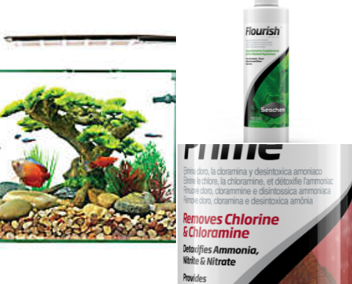 Aquatic Life Favorites cover photo collage