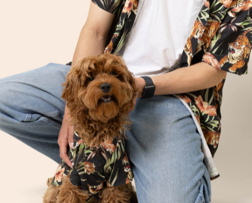 Pet Parents Who Spoil Their Pets cover photo collage