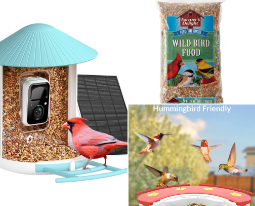 Backyard Birdwatching Gear: Smart Feeders, Cameras & Seed Picks cover photo collage