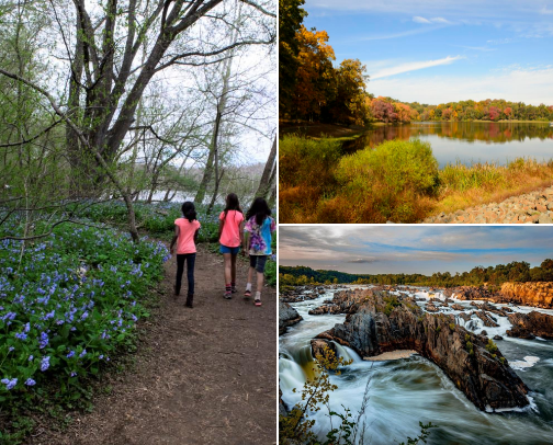 Best Parks in DMV! cover photo collage