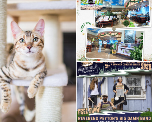 Life in Peoria: Fun and Food cover photo collage