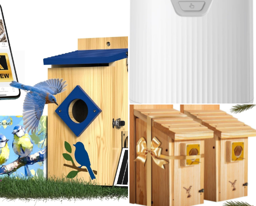 Birds and the Bees (Gardens) cover photo collage