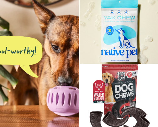 Doodle Mom Faves✨ cover photo collage