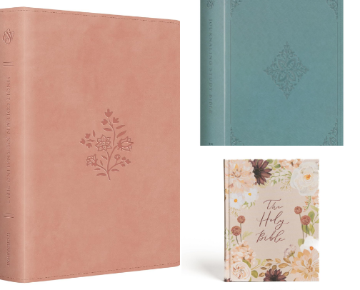 A Bible to Write in cover photo collage