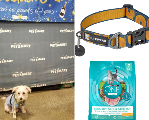 Pets and more cover photo collage