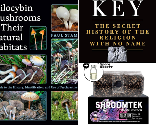 Mushroom Fun: Things to get you started on your healing journey cover photo collage