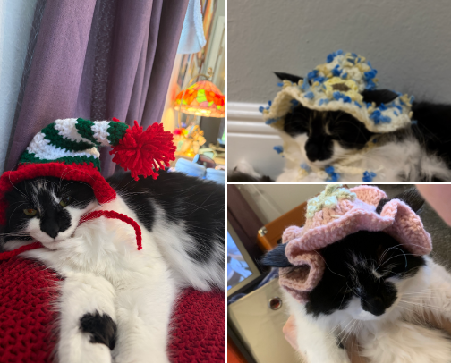 Crochet Hats for Cats! cover photo collage