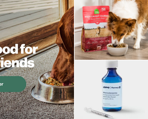 Daily Routine Pet Essentials (That You’ll Actually Keep Buying) cover photo collage