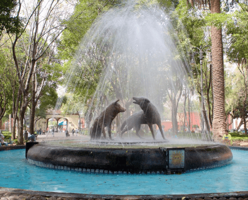 Mexico City cover photo collage