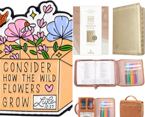 Cutesie Bible things! cover photo collage