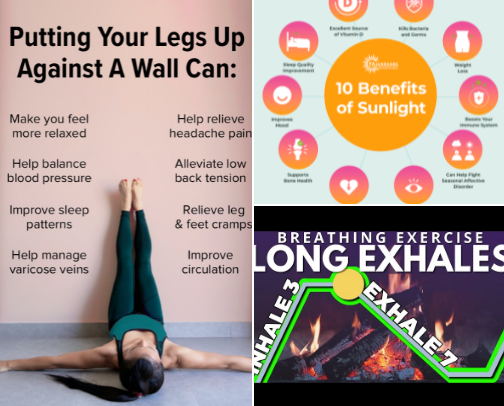 simple ways to regulate your nervous system cover photo collage