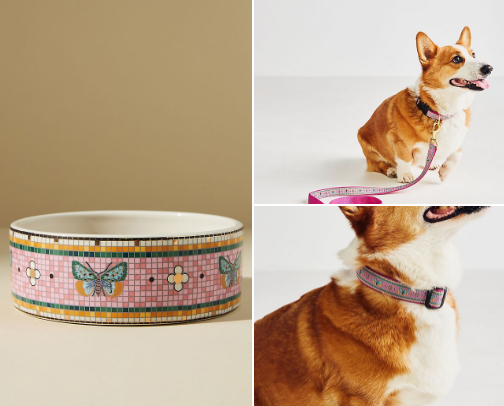 Accessories to Spoil Your Dog cover photo collage