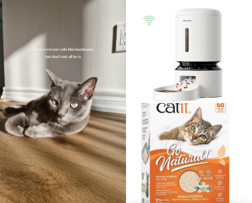 Cat Owners & Lovers Musts 🐾 cover photo collage