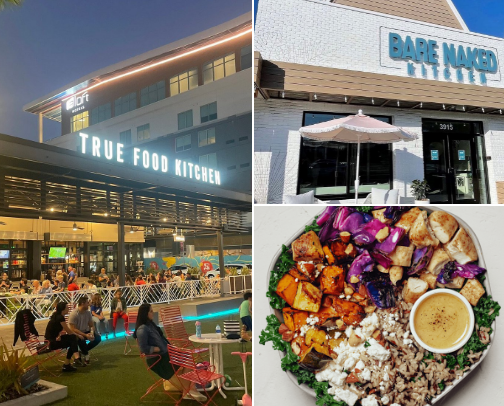 My top Tampa recs cover photo collage