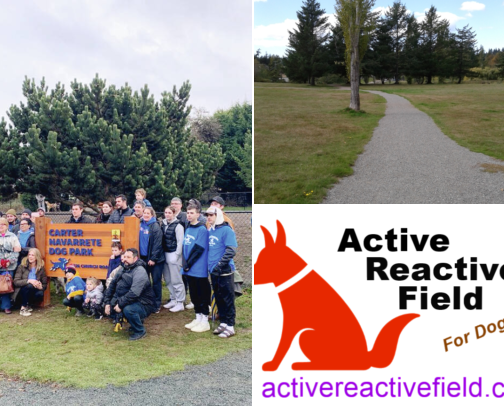 Best Dog Parks & Walks in Sooke, BC Canada cover photo collage