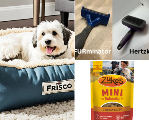 Budget-Friendly Pet Products That Don't Feel Cheap cover photo collage
