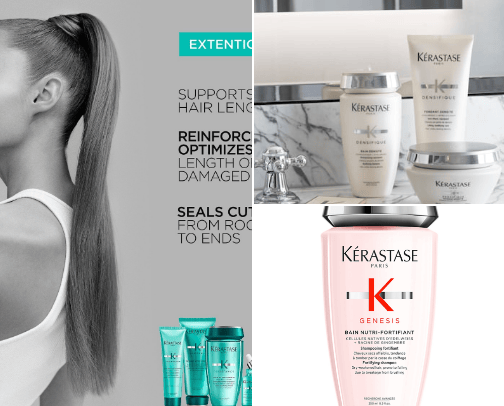 Holy-grail haircare for dry hair cover photo collage