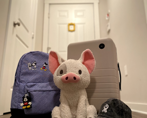 Disney Park Bag Must-haves! 🏰 cover photo collage