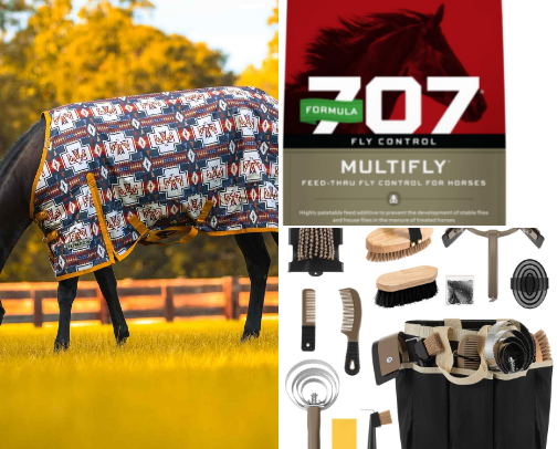 Basic Horse Care Essentials for Everyday Barn Life cover photo collage