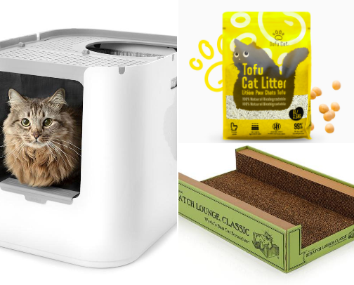 Essentials for New Cat Parents cover photo collage